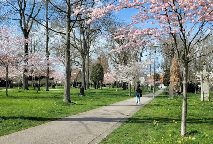 Friedhof_Wege.jpg